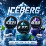 Iceberg Nicotine Pouches Gallery Image